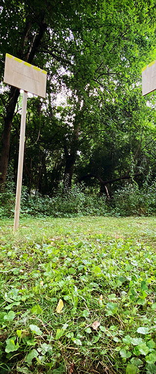 Caterina Verde - The Flying Wallendas as replicators of human behavior