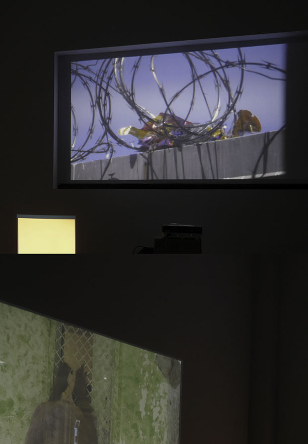 detail of installation:&nbsp; the misfortunes of virtue at the heart of the fertile delta in the land of hyper-reality