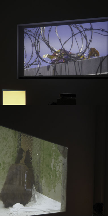 detail of installation:&nbsp; the misfortunes of virtue at the heart of the fertile delta in the land of hyper-reality