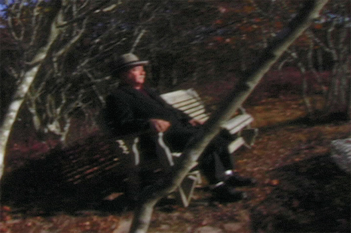 Scene from Caterina Verde's video, "All You Can't Eat and Other Tales of Waiting".&nbsp;&nbsp; Bench at Dusk