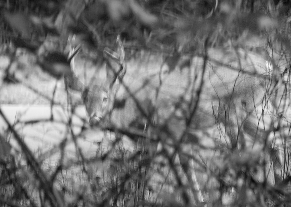 With Pasha Radetzki of performance - Enigma of a Litmus Test, Shinnecock HIlls. Caterina Verde