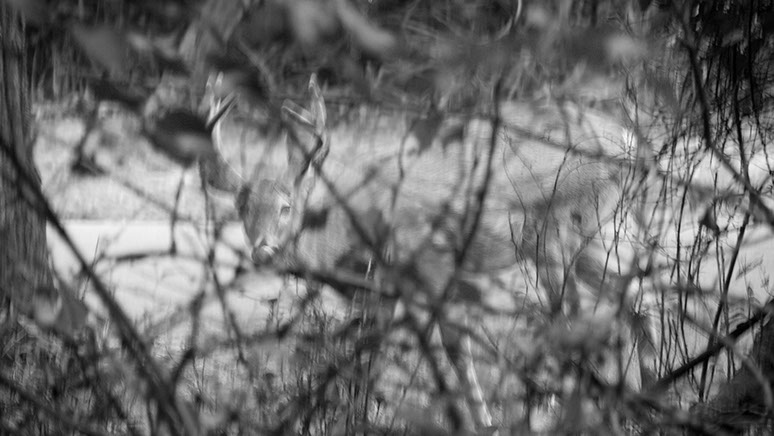 With Pasha Radetzki of performance - Enigma of a Litmus Test, Shinnecock HIlls. Caterina Verde