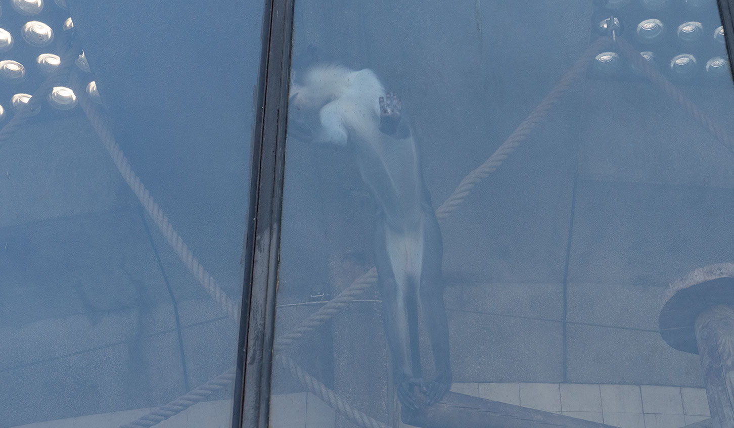 Caterina Verde - It's Not What you Think