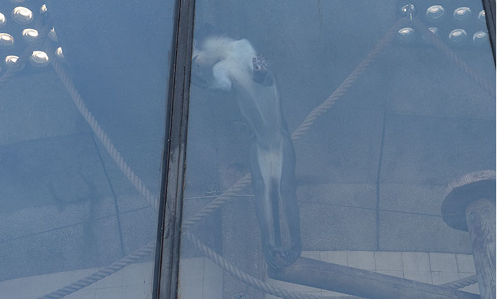 Caterina Verde - It's Not What you Think