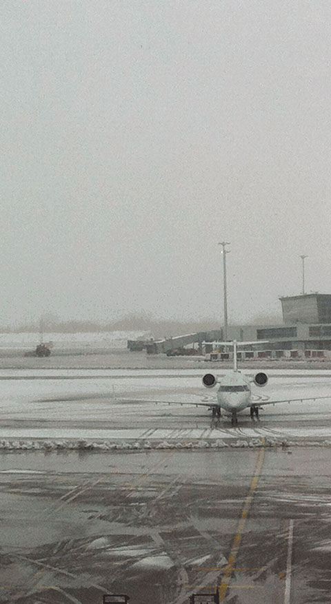 Caterina Verde - photograph gif