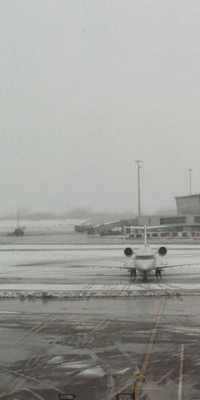 Caterina Verde - photograph gif