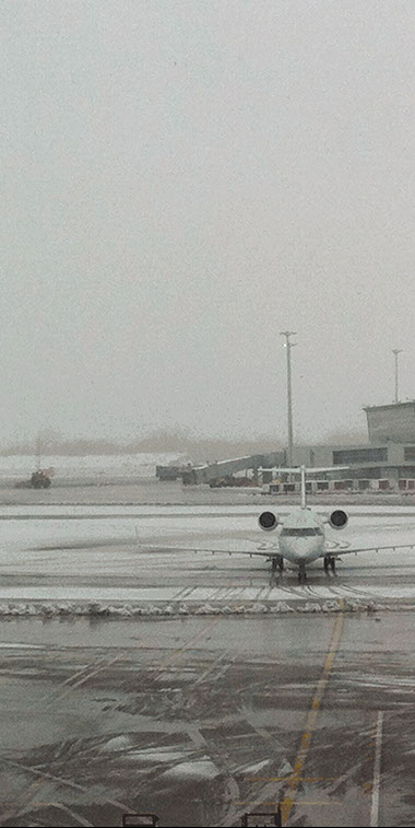 Caterina Verde - photograph gif