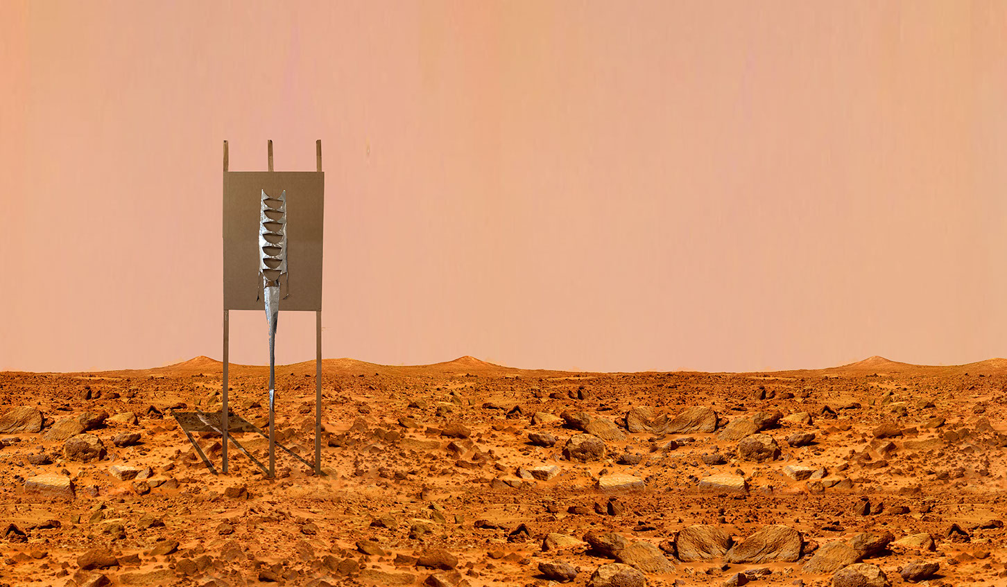 Caterina Verde, photograph, image, The mott