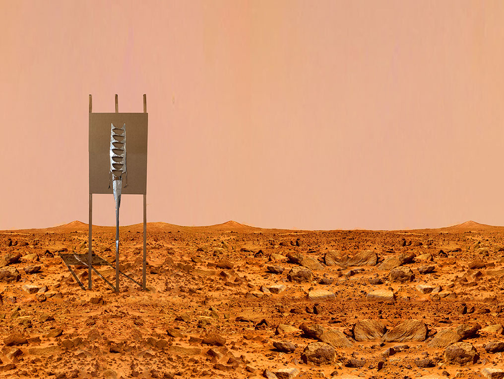 Caterina Verde, photograph, image, The mott