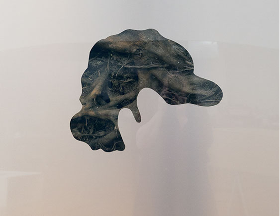 Caterina Verde, Hairpiece for the Invisible Man, photograph on metal