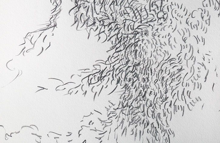 Caterina Verde - drawing - detail - runner